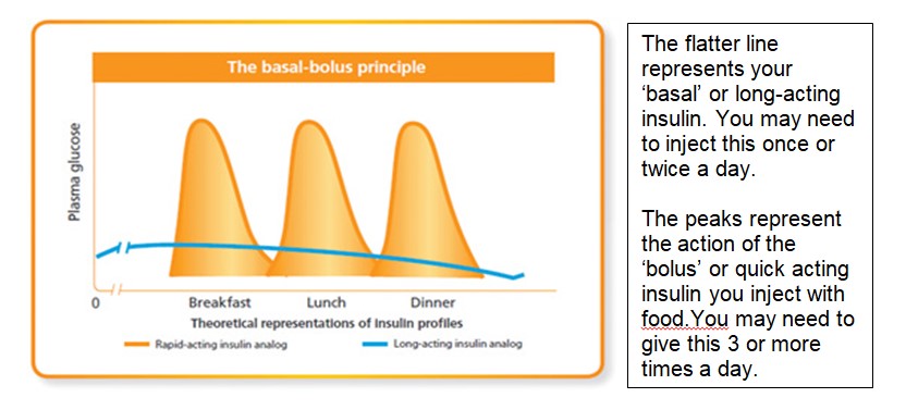 Basal Bolus Regimen Insulin Adjustment Multiple Daily Injection Wiltshire Health And Care