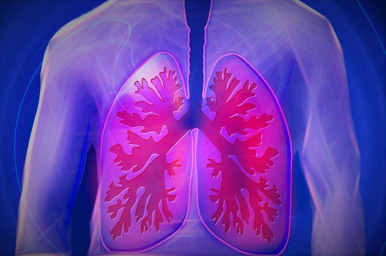 What Is Respiratory Quotient Rq And What Does It Measure