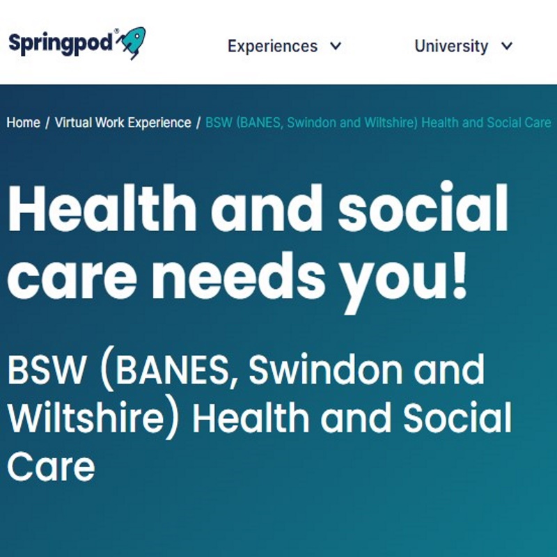 Virtual Work Experience Available Across Bsw Wiltshire Health And