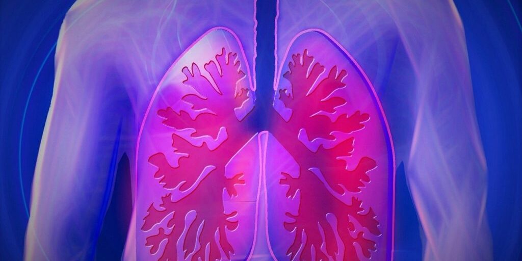 Respiratory_lungs_PixabayImage
